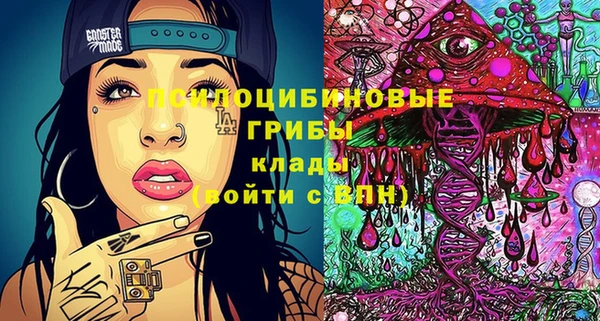 дмт Алексеевка