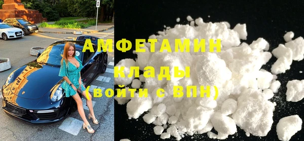 индика Алексин