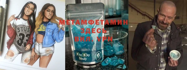 индика Алексин