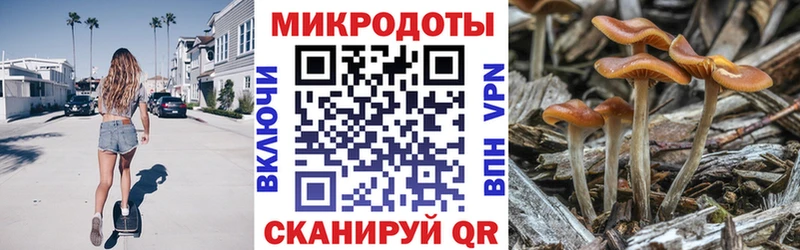 Галлюциногенные грибы Psilocybine cubensis дарнет шоп Цоци-Юрт