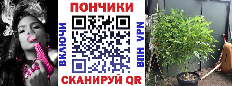 Каннабис AK-47 Цоци-Юрт